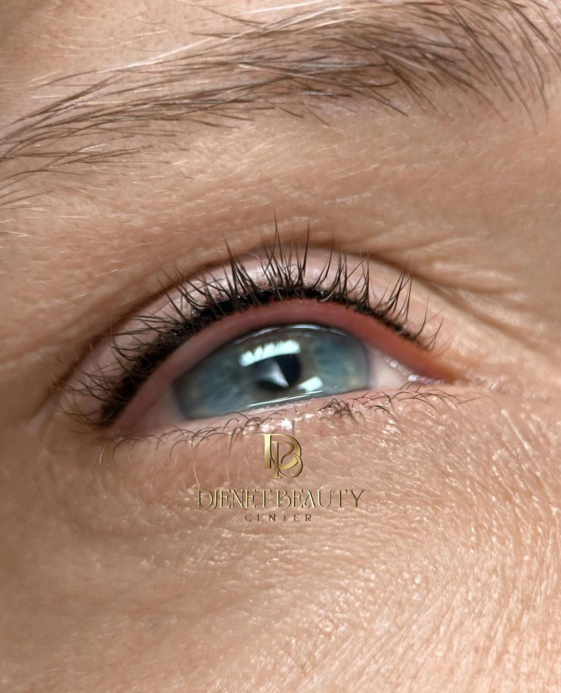 photo - Himitsu no Inka | Tattooshop