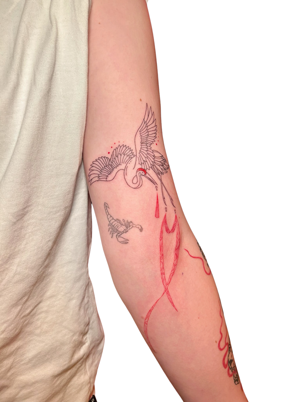 photo - Himitsu no Inka | Tattooshop