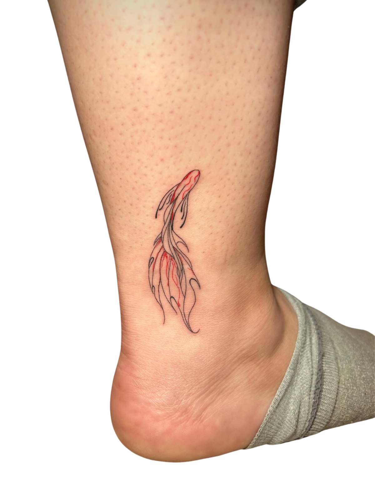 photo - Himitsu no Inka | Tattooshop