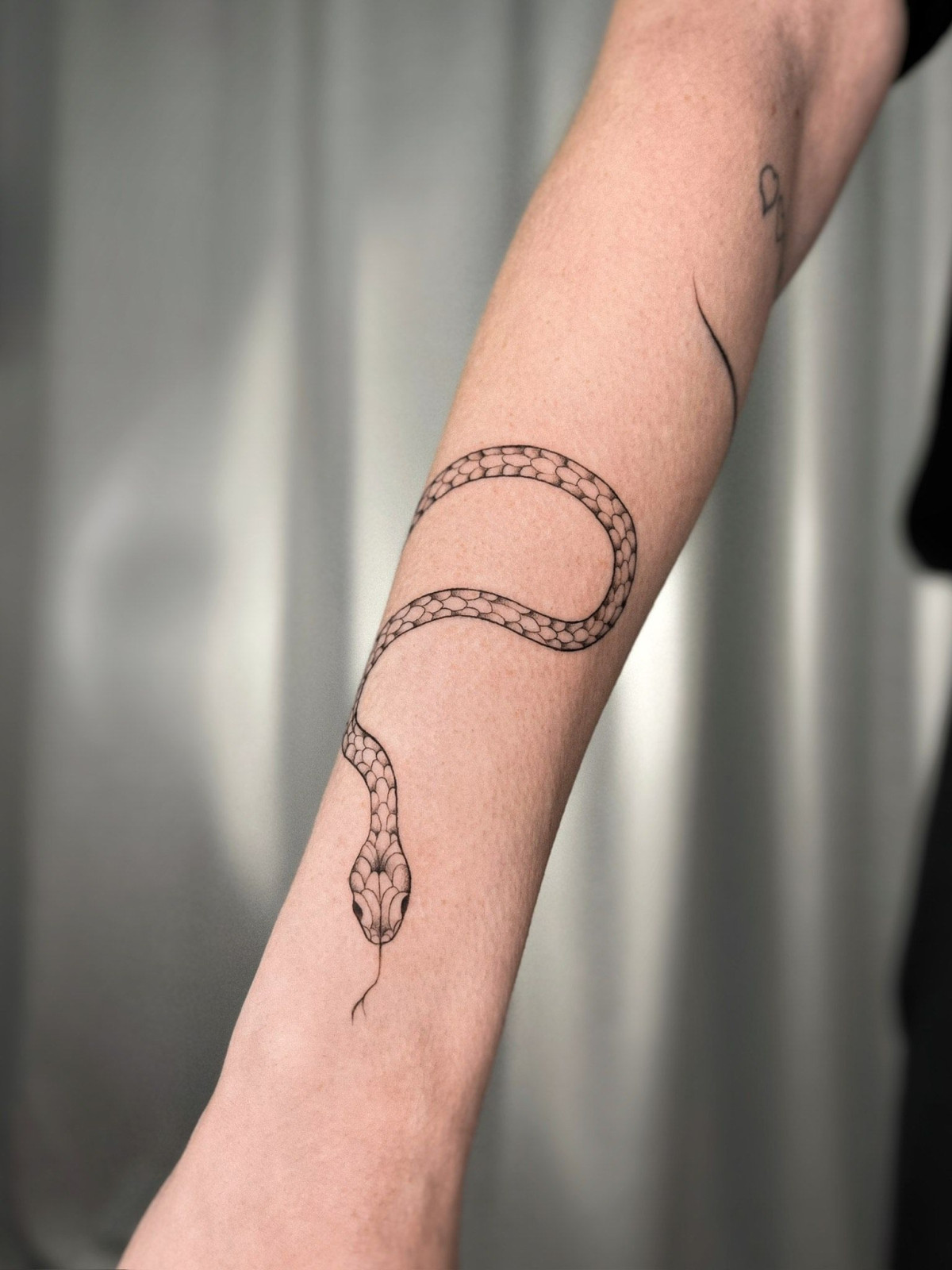 photo - Himitsu no Inka | Tattooshop